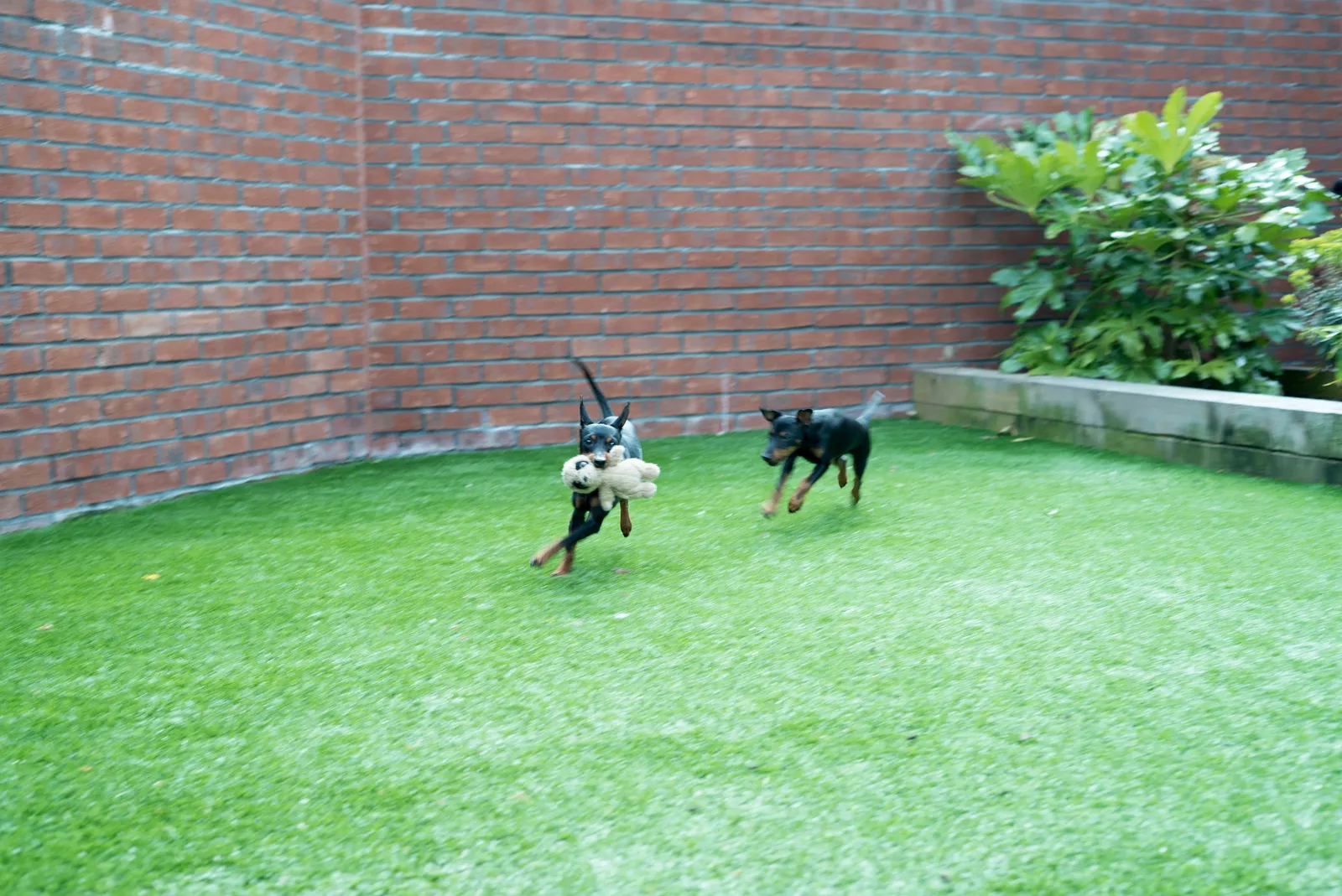 DSC07268_1