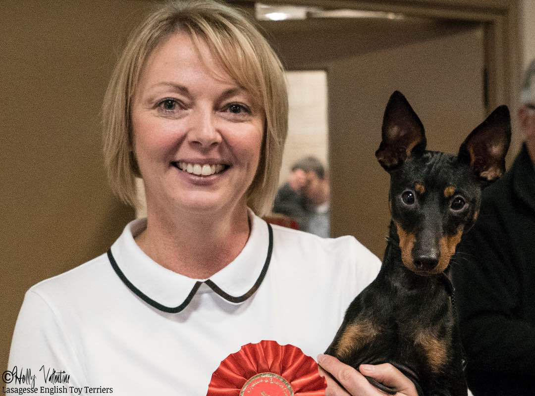 english-toy-terrier-lasagesse-fred-show-019 copy