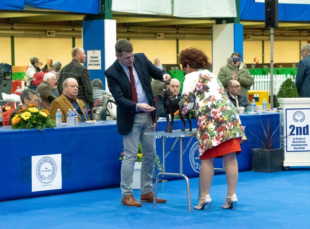 gallery-manchester-champ-show-003