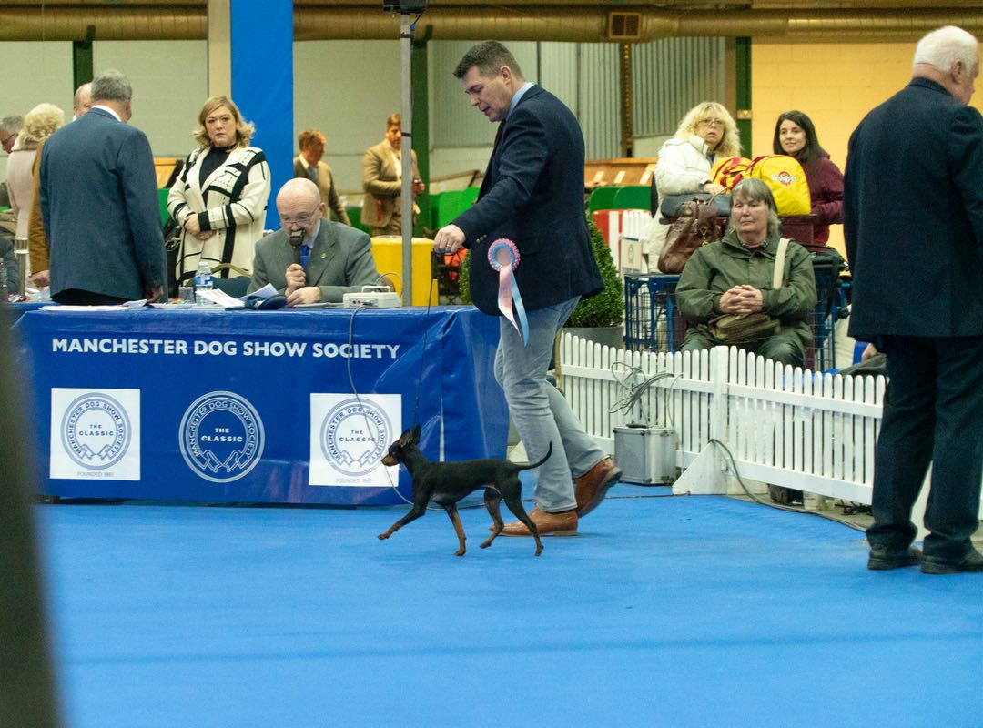 gallery-manchester-champ-show-004